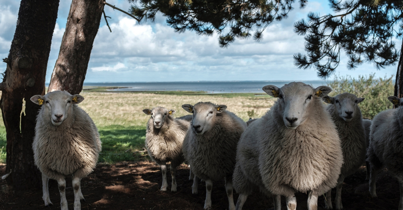 Psalm 23 - Part 1