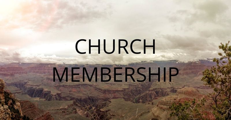 The Priesthood of Believers